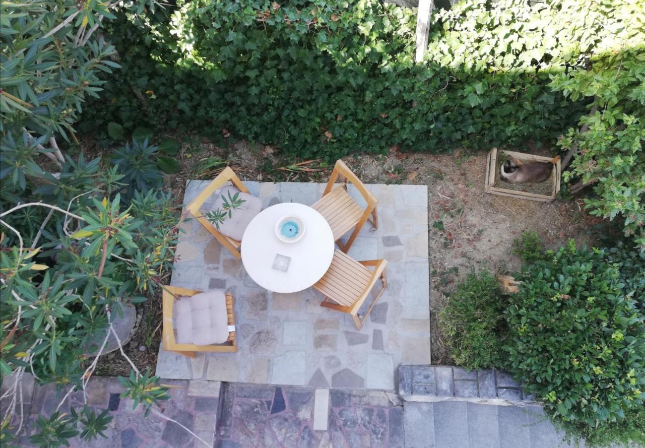 Vila Flori Koper Extérieur photo